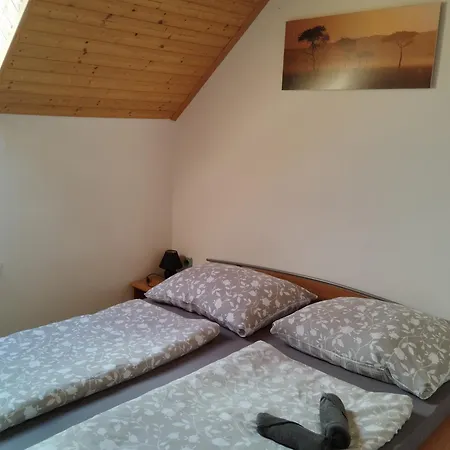 U Petra S Plazi Apartman Horní Planá