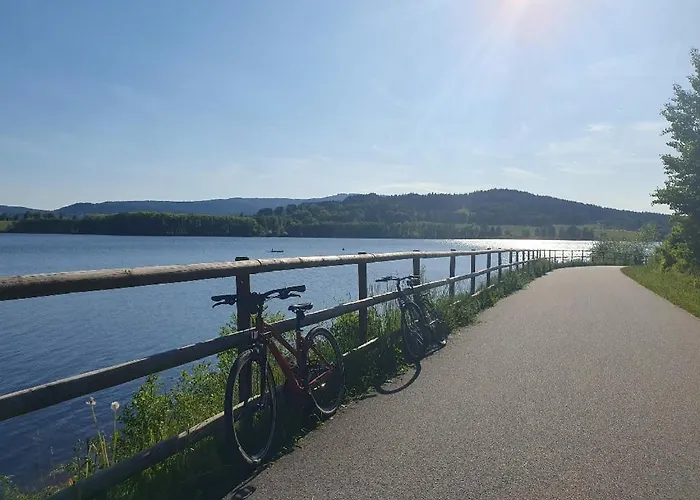 Appartement U Petra S Plazi Horní Planá