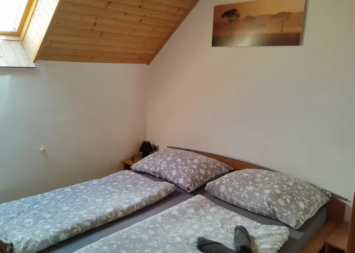 U Petra S Plazi Appartement Horní Planá