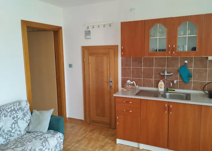 U Petra S Plazi Appartement Horní Planá